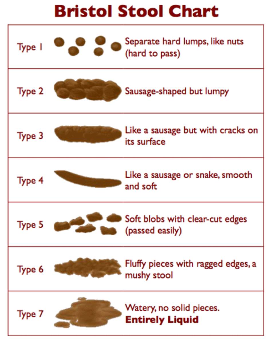 bristol stool chart